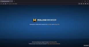 Mullvad Browser Interface